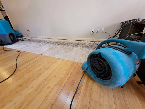 Professional Ceiling Water Damage Repair technician working in Waldo, WI