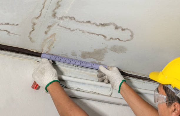 Affordable Ceiling Water Damage Repair solutions in Waldo, WI